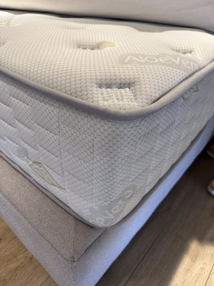 japanischer blauregen winterhart Japanischer Blauregen kaufen
